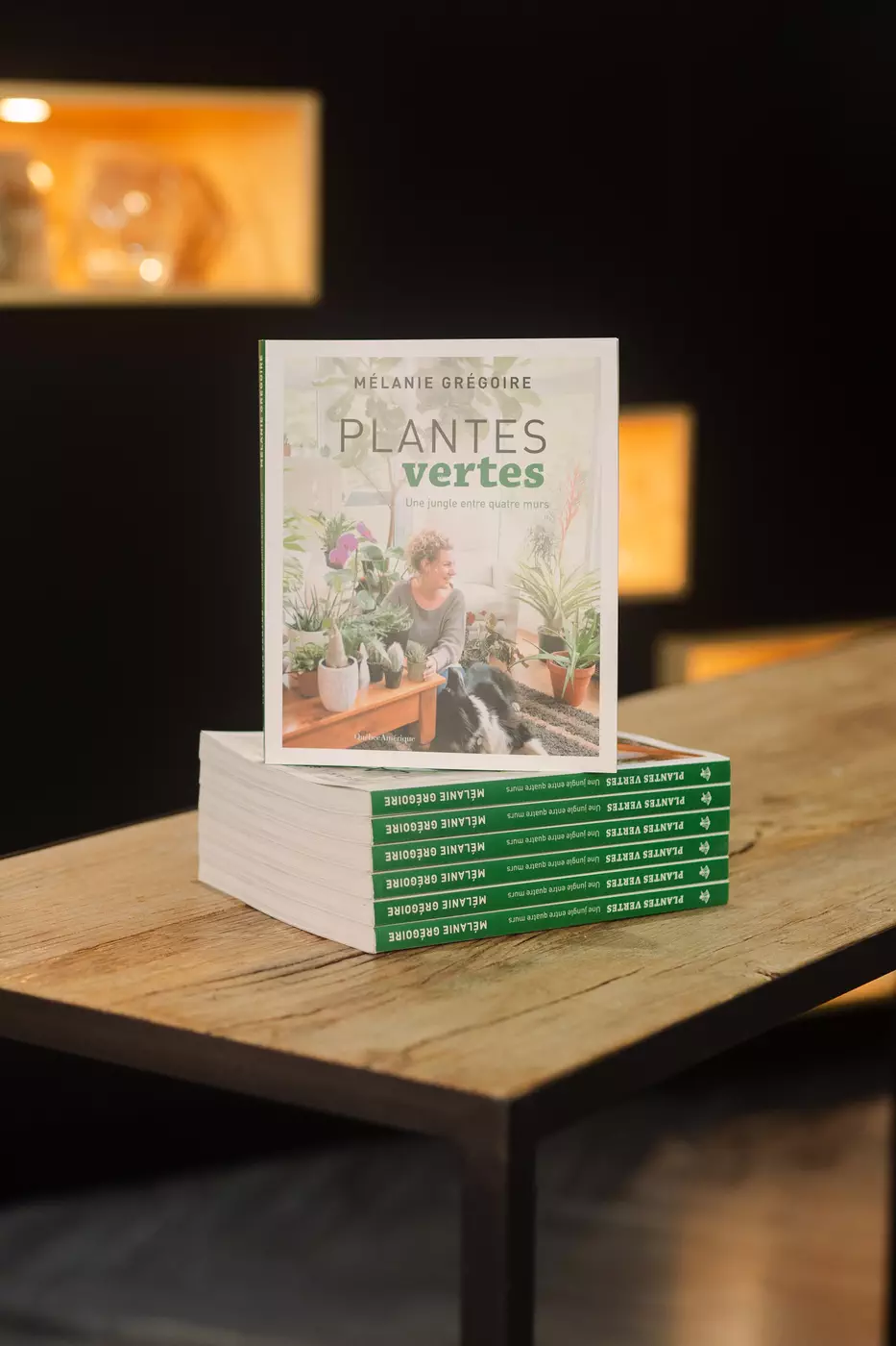 livre Plantes vertes - une jungle entre quatres murs