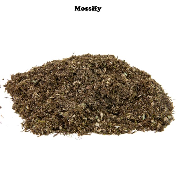 mossify