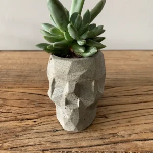 Terrarium en forme de crâne en béton avec une plante grasse à l'intérieur