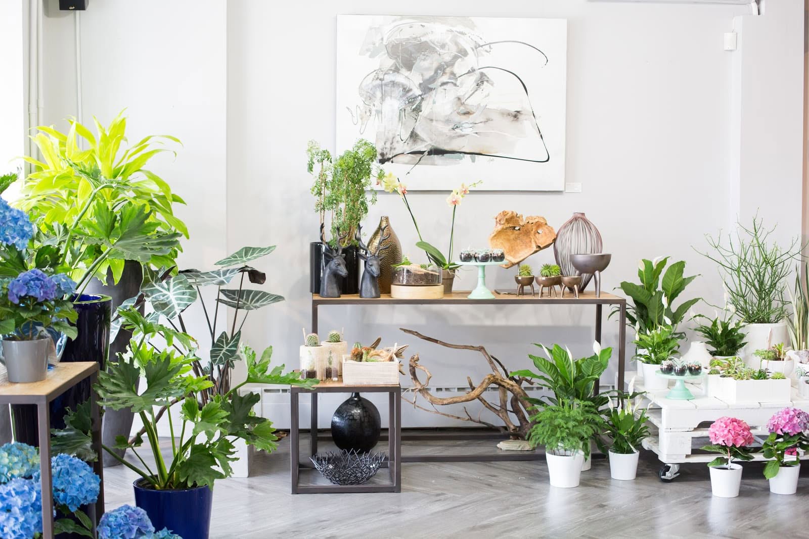 Vue d'ensemble d'un coin d'un fleuriste avec des plantes vertes, des fleurs fushia, des vases design et de tête de cerfs noires en décoration